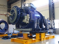 Transmission chain